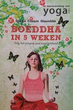 Boeddha in 5 weken, Ophalen of Verzenden, Nieuw