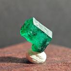 1,35 ct Juwel-kwaliteit DOPPEL terminierter Swat Smaragd