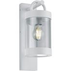 LED Tuinverlichting met Dag en Nacht Sensor - Wandlamp, Nieuw, Ophalen of Verzenden, Hanglamp, Led