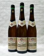 2012 Schloss Johannisberger, Grunlack Riesling - Rheingau, Nieuw
