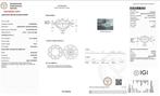 Zonder Minimumprijs - Ring - 18 karaat Witgoud - 5.01ct. tw., Nieuw