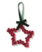 HEMA Ster belletjes 11.5x11.5cm ijzer rood 2+1 gratis, Verzenden, Nieuw