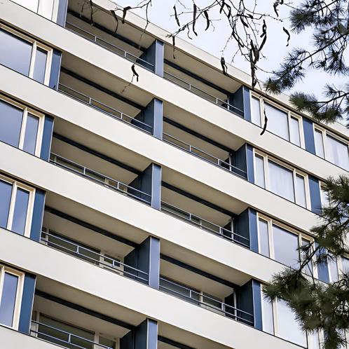 Appartement met Balkon te huur gevonden in Veenendaal, Huizen en Kamers, Huizen te huur, Direct bij eigenaar, Appartement