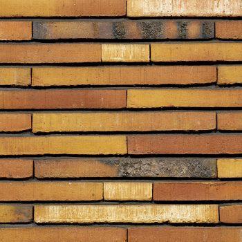 Wienerberger Prisma Wasserrich Langformaat, Doe-het-zelf en Verbouw, Metselstenen, Verzenden