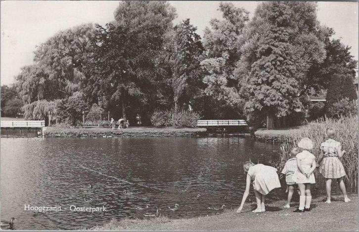 HOOGEZAND - Oosterpark, Verzamelen, Ansichtkaarten | Nederland, Verzenden