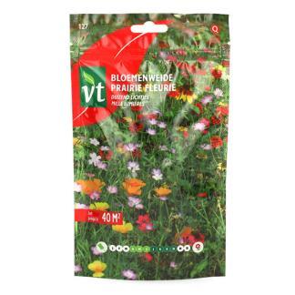 Bloemzaden Duizend Lichtjes | VT (Meerjarig, 40 m²), Tuin en Terras, Bloembollen en Zaden, Verzenden