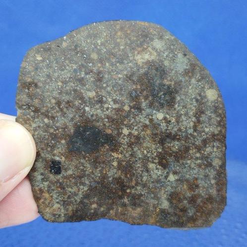 8 cm!!! Meteoriet Chondriet Snede. NWA 869 (Sahara, 2000)., Verzamelen, Mineralen en Fossielen