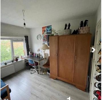 Te huur: Kamer Heymanslaan in Groningen beschikbaar voor biedingen