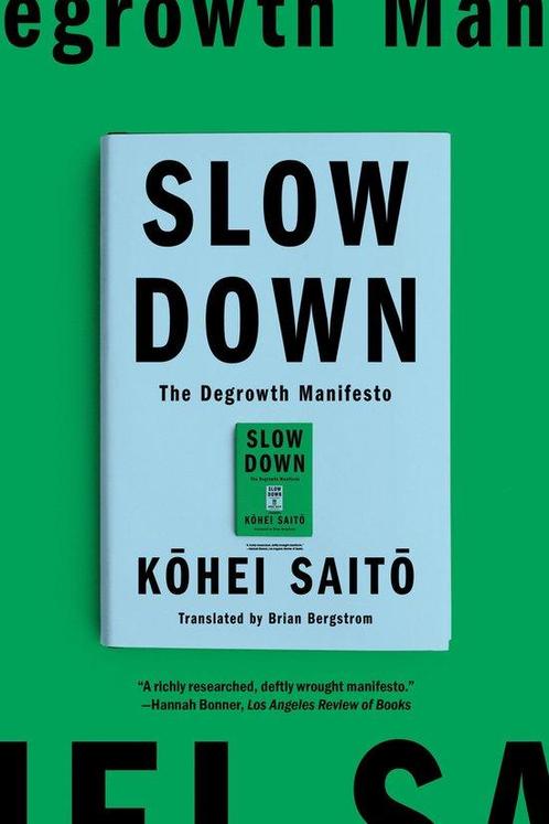 9781662602726 Slow Down Kohei Saito, Boeken, Studieboeken en Cursussen, Nieuw, Verzenden
