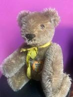 Steiff: Original Teddybeer 1951 c, 1951. - Teddybeer -, Antiek en Kunst