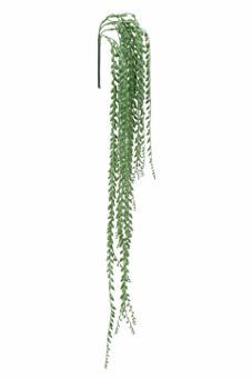 Senecio hanger 100cm. Groen XXL Super mooi, Huis en Inrichting, Woonaccessoires | Kunstplanten en Kunstbloemen, Nieuw, Ophalen of Verzenden