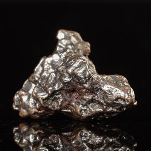 Campo del Cielo meteoriet – ijzer-nikkel met Widmanstätten, Verzamelen, Mineralen en Fossielen
