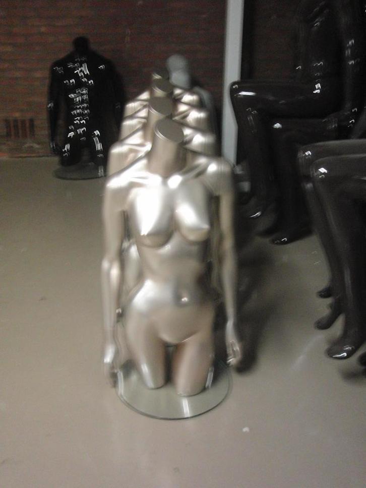 *TIP*  glossy  Damestorso's met armen, Zakelijke goederen, Kantoor en Winkelinrichting | Winkel en Inventaris, Ophalen of Verzenden