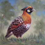 Anna Frolova (XX-XXI) -