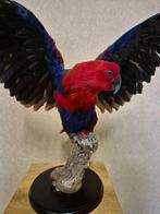 edelpapegaai Taxidermie volledige montage - Eclectus roratus, Nieuw