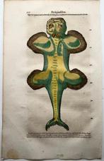 Conrad Gesner [Konrad Gessner] 1516-1565: Fishbuch:, Antiek en Kunst
