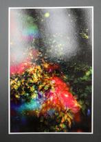 Viet Ha Tran - Wall of Nature XVII