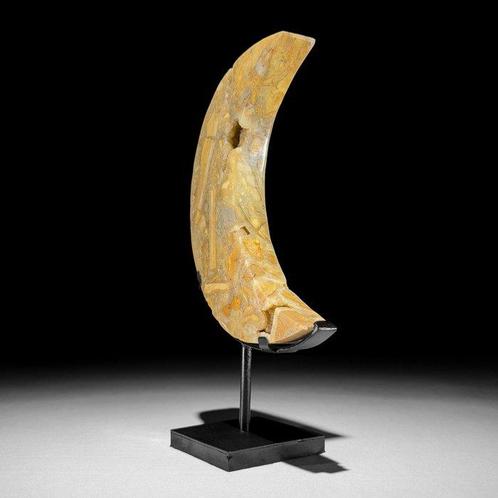 GEEN RESERVE PRIJS - Prachtige gele Maligano Jaspis, Antiek en Kunst, Kunst | Designobjecten