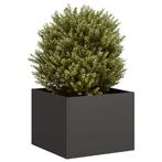 vidaXL Plantenbak 40x40x30 cm staal zwart, Tuin en Terras, Verzenden, Nieuw, Metaal