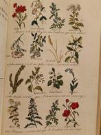 Louis-Aimé Martin - Le langage des fleurs - 1840, Antiek en Kunst, Antiek | Boeken en Bijbels