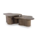 Salontafel Fall Set Van 2 - Bruin - 240219 - salontafel, Huis en Inrichting, Tafels | Salontafels, Nieuw, Overige materialen