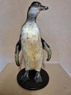 Pinguïn Taxidermie volledige montage - Spheniscus humboldt -, Nieuw