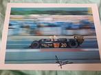 wolf - Jody Scheckter - Photograph, Nieuw