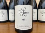 2020 Casa Lupo - Amarone della Valpolicella - 6 Flessen, Verzamelen, Nieuw
