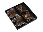 Bruine vlinders met clip – 8 cm 6 stuks voor bloemschikken,, Ophalen of Verzenden, Nieuw