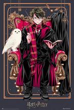 Poster Harry Potter Wizard Dynasty 61x91,5cm, Verzamelen, Posters, Verzenden, Nieuw, A1 t/m A3
