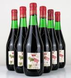 1969 Bodegas Campo Viejo - Rioja Reserva - 6 Flessen (0.75, Verzamelen, Wijnen, Nieuw