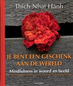 Je bent een geschenk aan de wereld 9789088400612, Verzenden, Zo goed als nieuw, Thich Nhat Hanh