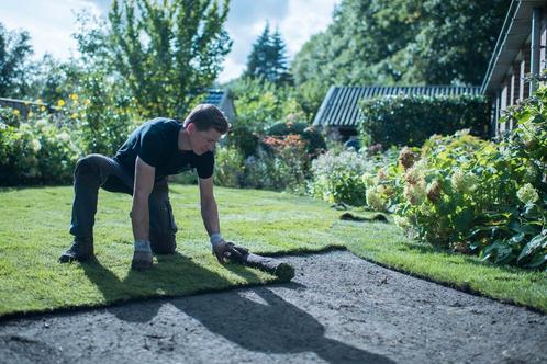 Ontdek Topkwaliteit Graszoden: Een Groen Gazon in Elke Tuin!, Tuin en Terras, Gras en Kunstgras, Gras, Nieuw, Verzenden