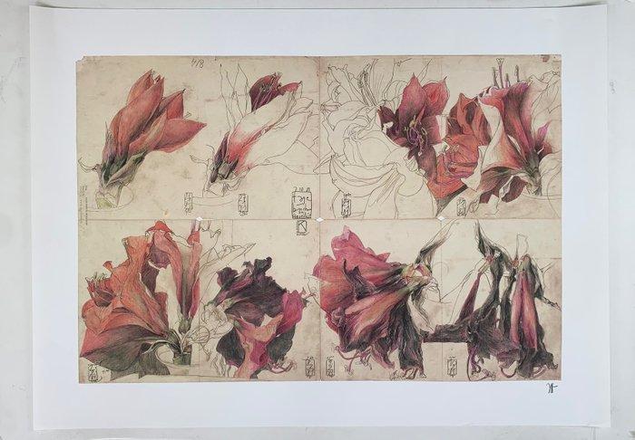 Horst Janssen (1929-1995) (after) - Tagebuch einer, Antiek en Kunst, Curiosa en Brocante