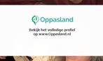 Hanneke zoekt een oppas in Ewijk voor 3 kinderen op dinsd..., Vacatures, Vacatures | Vakantiewerk
