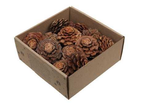 Dennenappel flower cut naturel doosje 23st – perfect voor, Huis en Inrichting, Woonaccessoires | Kunstplanten en Kunstbloemen