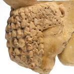 Oude Egypte, Ptolemeïsch kalksteen Relief met een hoofd in, Antiek en Kunst