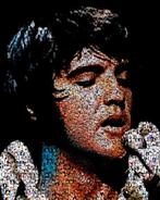 David Law - Crypto Elvis II - 2.0
