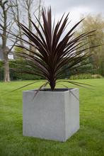 Cube M 50x50x50 cm Grey, Tuin en Terras, Bloembakken en Plantenbakken, Verzenden, Nieuw, Vierkant, Beton