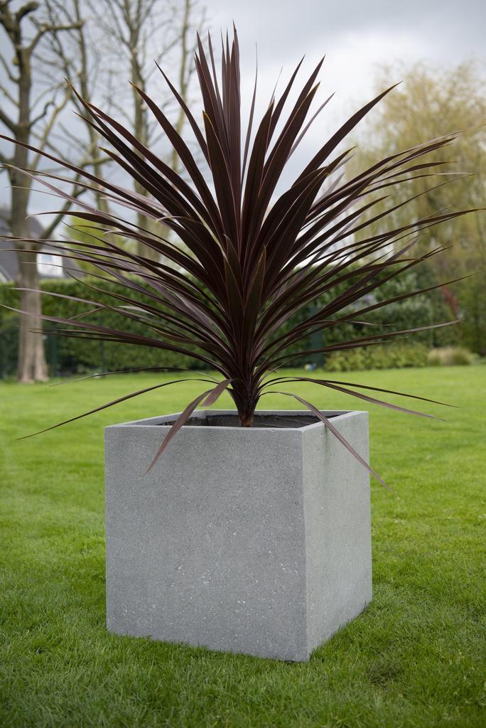 Cube M 50x50x50 cm Grey, Tuin en Terras, Bloembakken en Plantenbakken, Nieuw, Beton, Vierkant, Verzenden