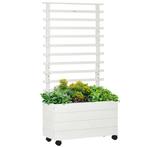 TRUUSK Plantenbak met Klimrek op Wielen - Verhoogd Bloembed, Tuin en Terras, Bloembakken en Plantenbakken, Verzenden, Nieuw