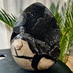 Septaria Wild Black Crystals Fine Large Wild Septaria Black