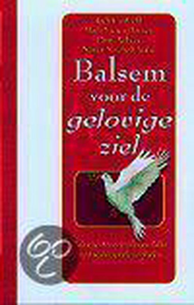 Balsem voor de gelovige ziel 9789022530726 Jack Canfield, Boeken, Esoterie en Spiritualiteit, Gelezen, Verzenden
