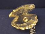Swarovski - Beeldje - Shell With Pearl - 014389 - Box +