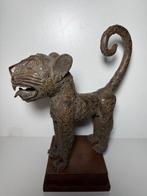 Prachtige grote luipaard - Yoruba - Nigeria (Zonder