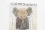 Kaws (1974) - Small Lie Brown 2017