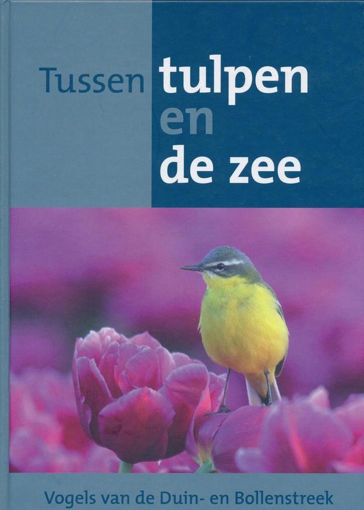Tussen tulpen en de zee 9789080530805 Peter Spierenburg, Boeken, Hobby en Vrije tijd, Zo goed als nieuw, Verzenden