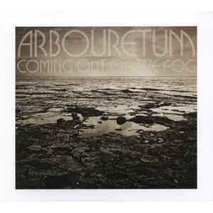 lp nieuw - Arbouretum - Coming Out Of The Fog, Cd's en Dvd's, Vinyl | Rock, Zo goed als nieuw, Verzenden