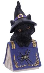 Nemesis Now Gothic Giftware Collection-Pocus (Diversen), Verzamelen, Poppetjes en Figuurtjes, Ophalen of Verzenden, Nieuw