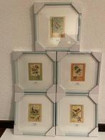 Kuifje Lithographie, Nieuw